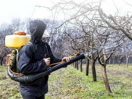 Опрыскивание деревьев Белгород